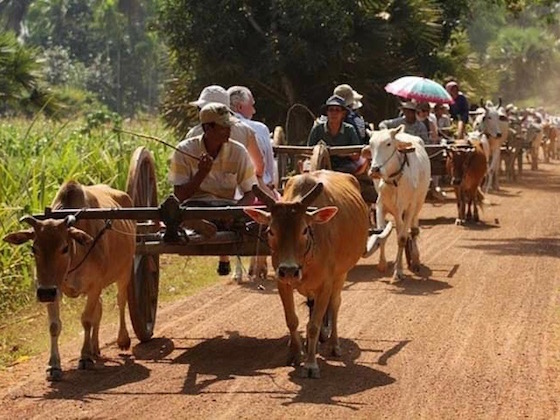 乗れるんです、牛車にも そらまめトラベル