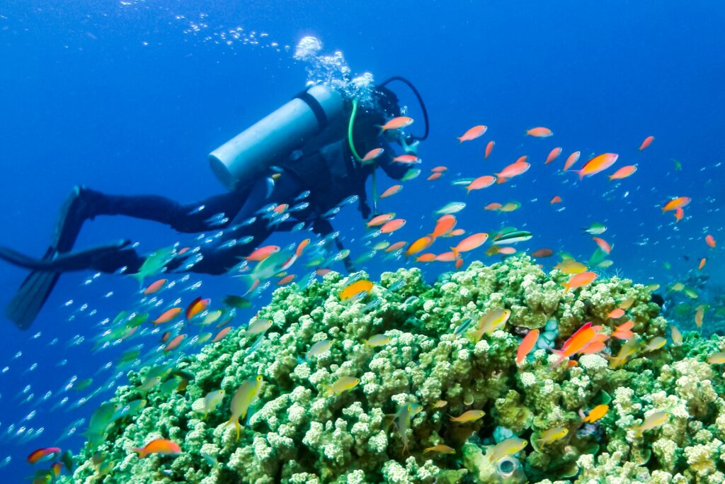 『GoToトラベル』でスキューバダイビングin沖縄 そらまめトラベル